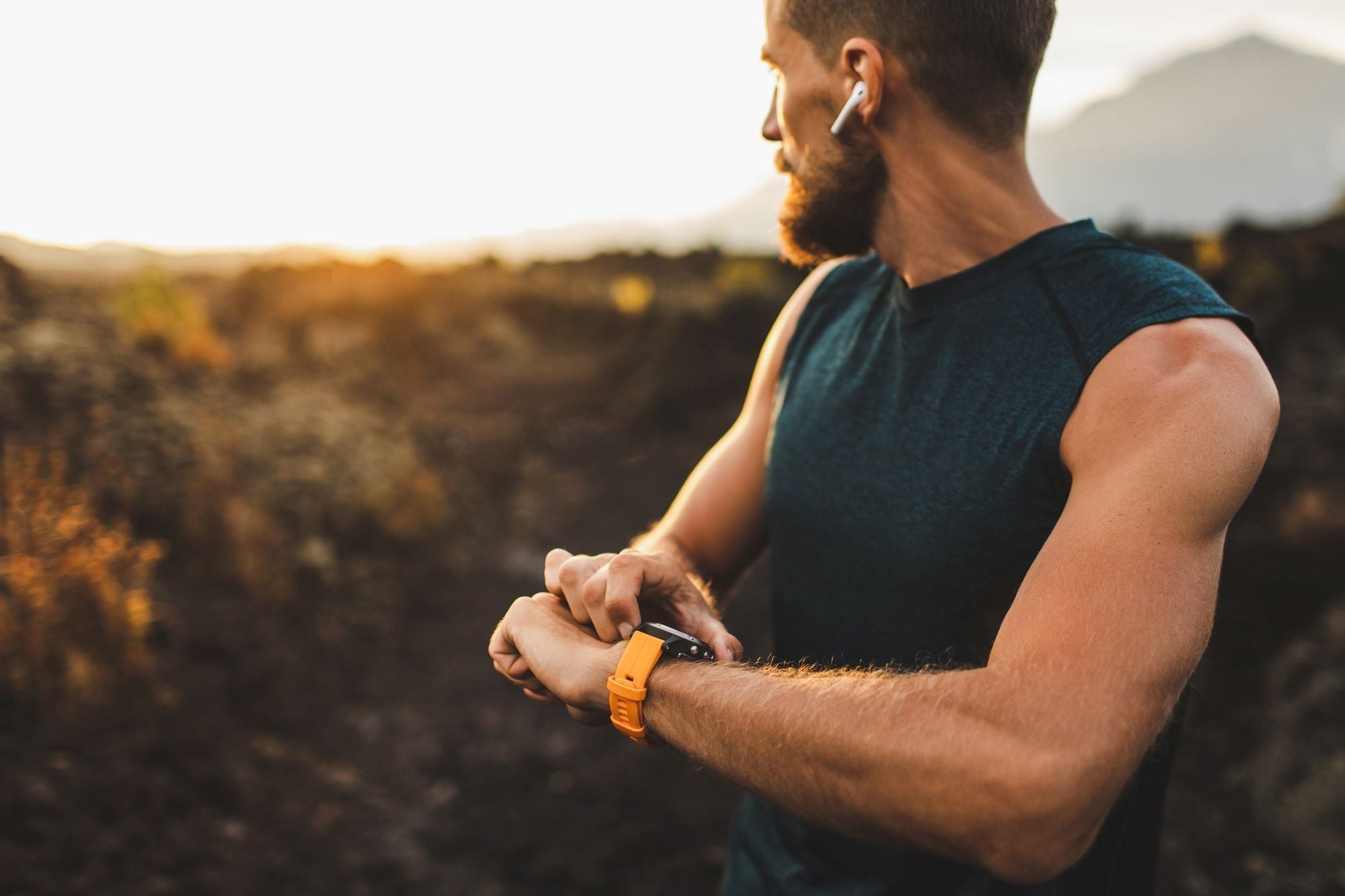 Your Wellness Journey